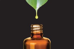 Oils in our skincare products